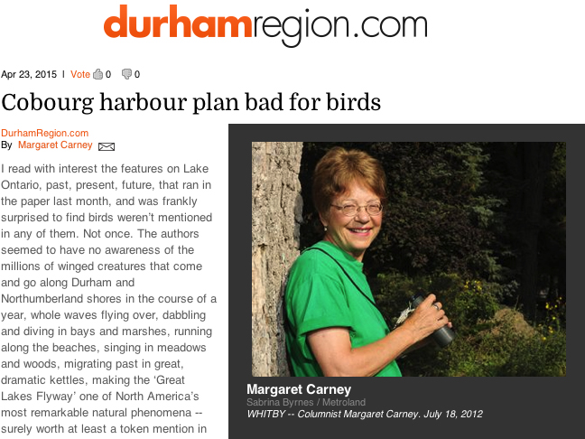 margaret carney article